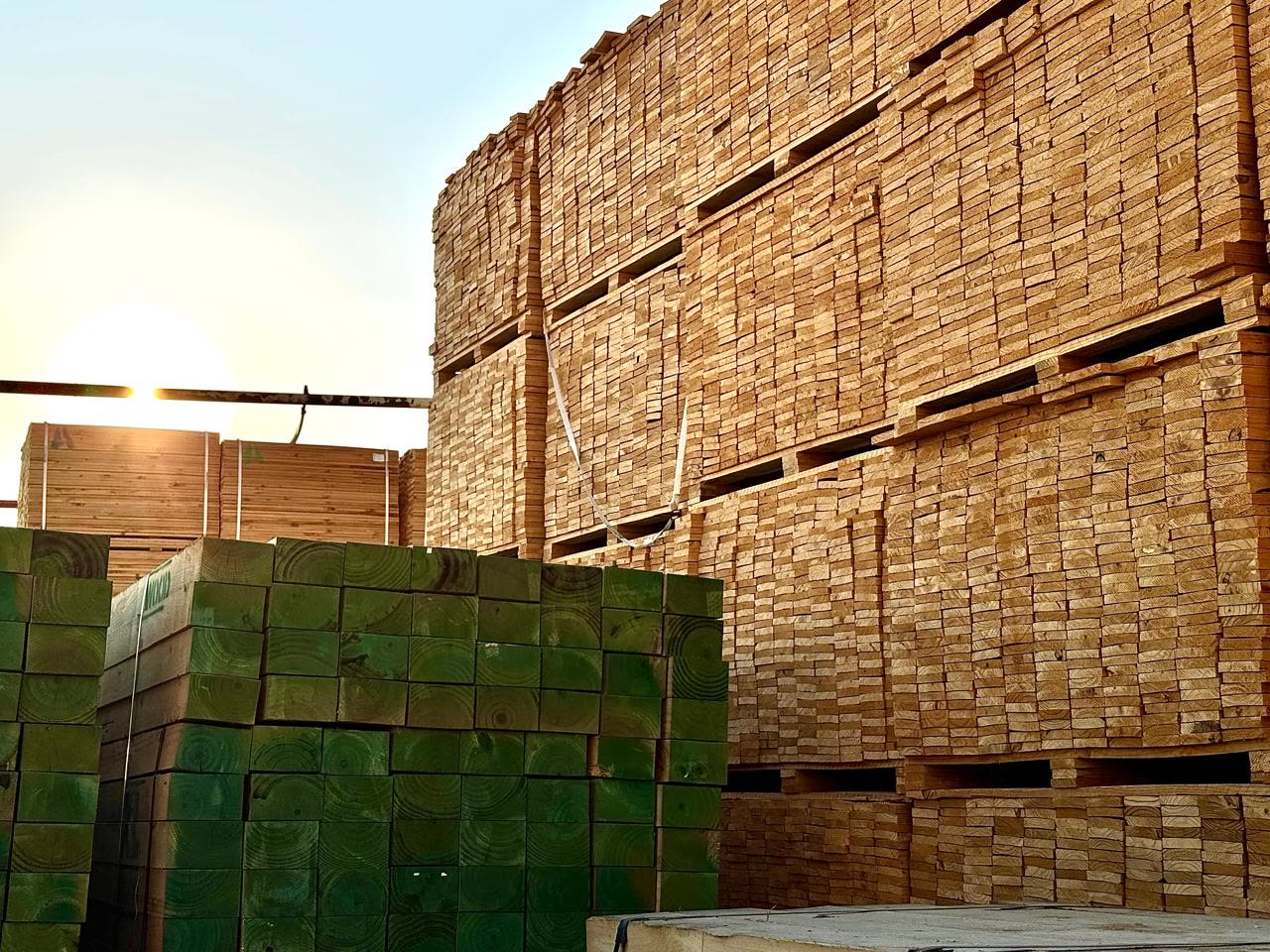 Wooden Pallets & ISPM-15 Packaging Supplier Dubai | Pine Pack Timber UAE